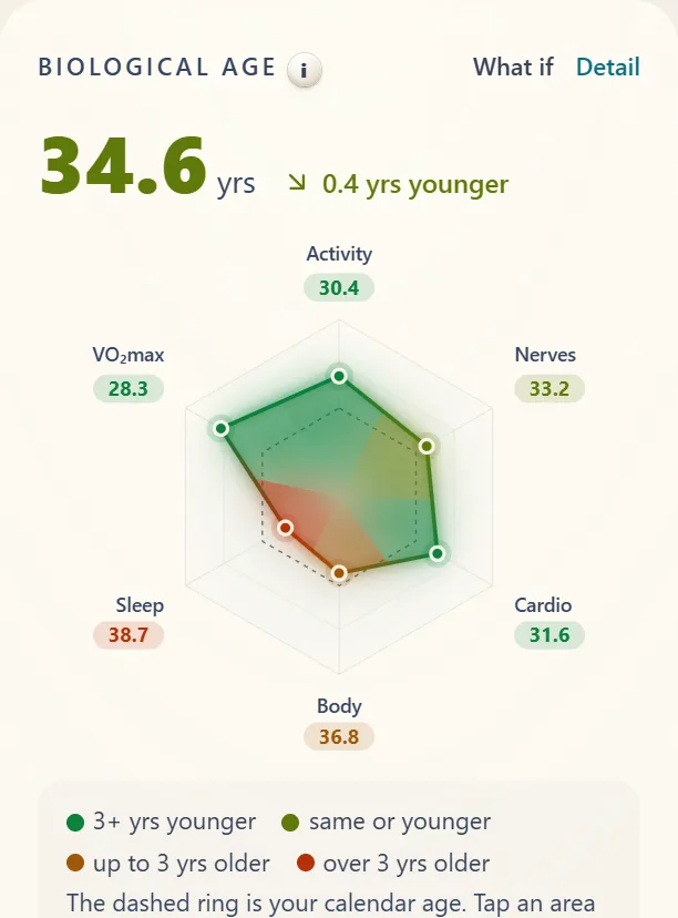 Biological age across six domains